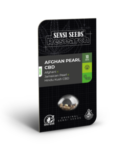 Afghan Pearl CBD Automatic
