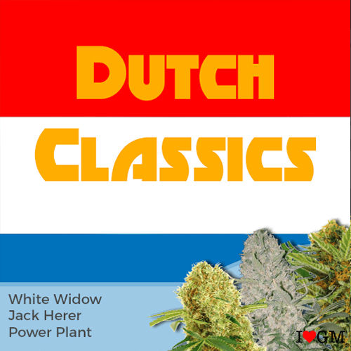 Dutch Classics Mix Pack