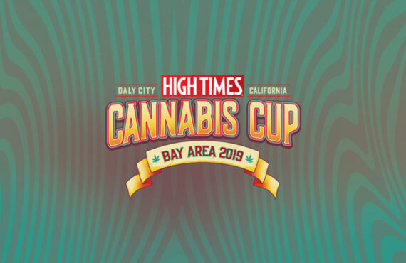 2019 Bay Area Cannabis Cup Winners