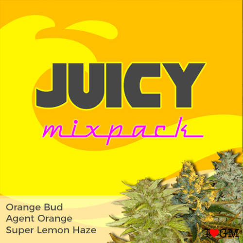 Juicy Mix Pack