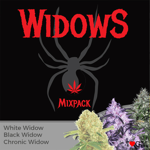 Widow Mix Pack