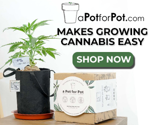 Make Growing Cannabis Easy