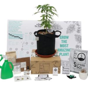 Small Complete Pot Grow Kit (2 gallon)